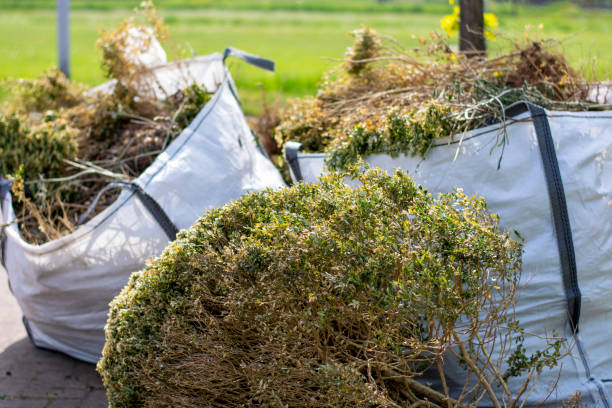 Best Trash Removal Near Me  in Fair Lakes, VA